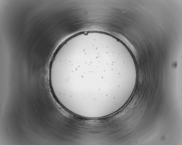 X0000103461388200810031448