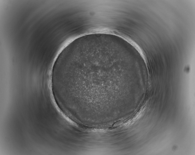 X0000103461389200810031448