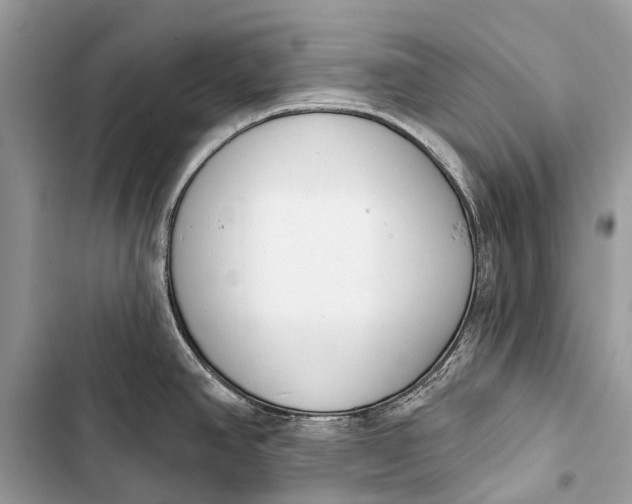 X0000103461390200810031448