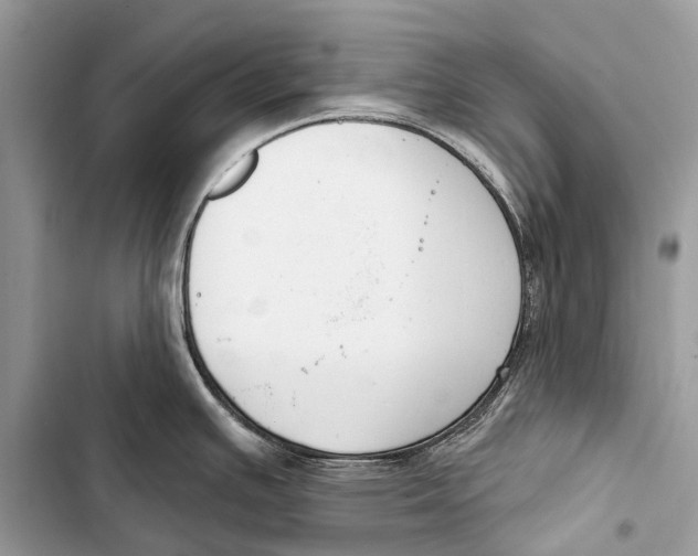 X0000103461391200810031448