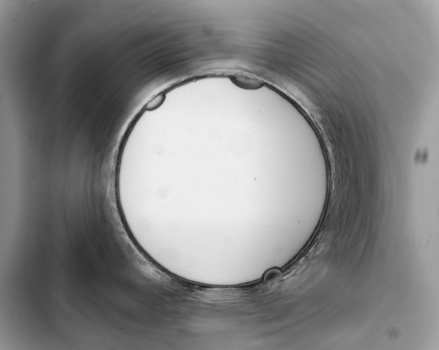 X0000103461392200810031448