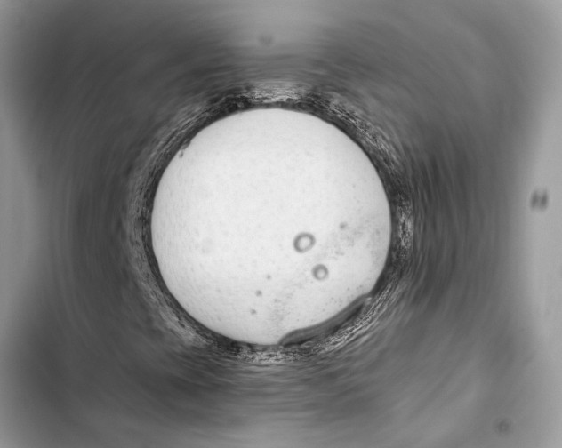 X0000103461393200810031447