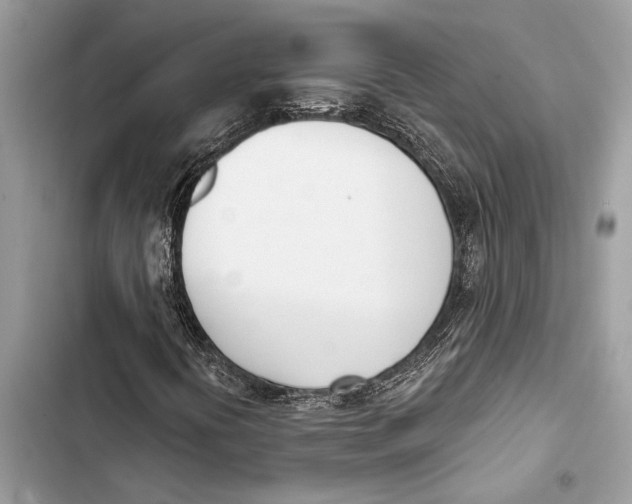 X0000103461394200810031447