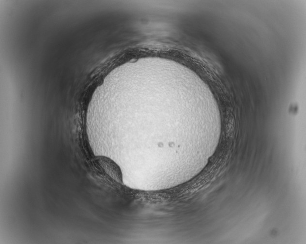 X0000103461397200810031447