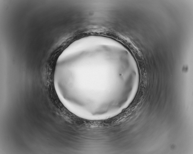 X0000103461399200810031448