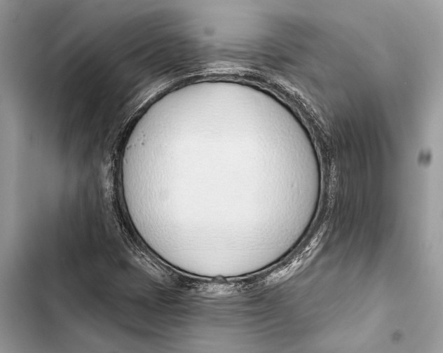 X0000103461401200810031448