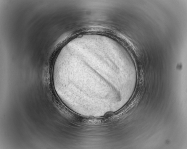 X0000103461403200810031448