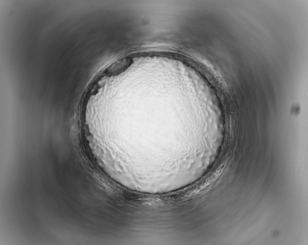 X0000103461405200810031448