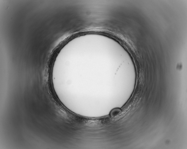 X0000103461406200810031448