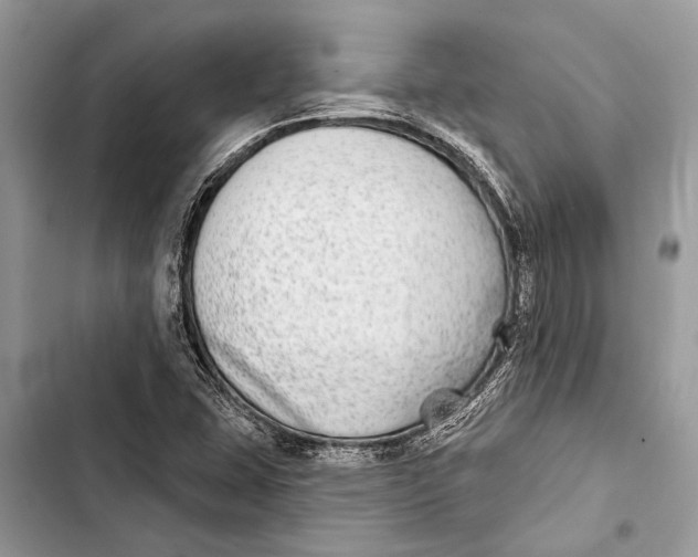 X0000103461407200810031448