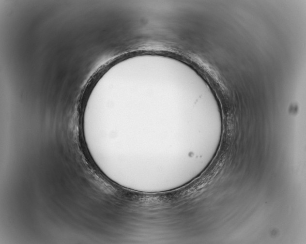 X0000103461408200810031448