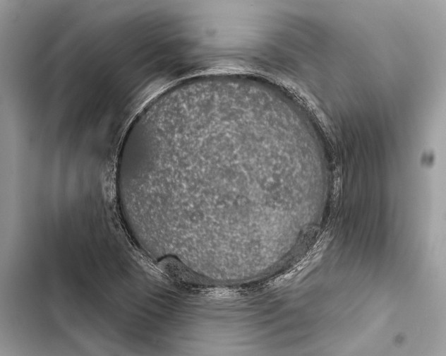 X0000103461409200810031448