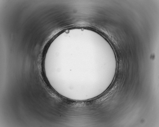 X0000103461410200810031448