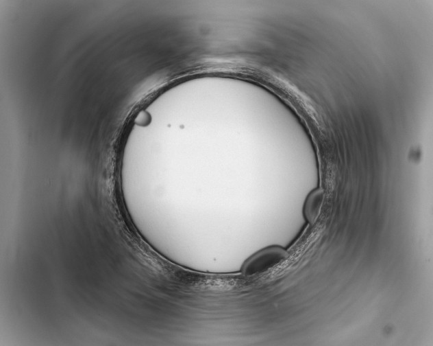 X0000103461411200810031448