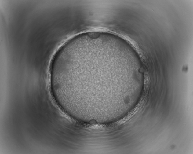 X0000103461414200810031448