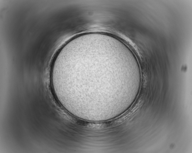 X0000103461415200810031448