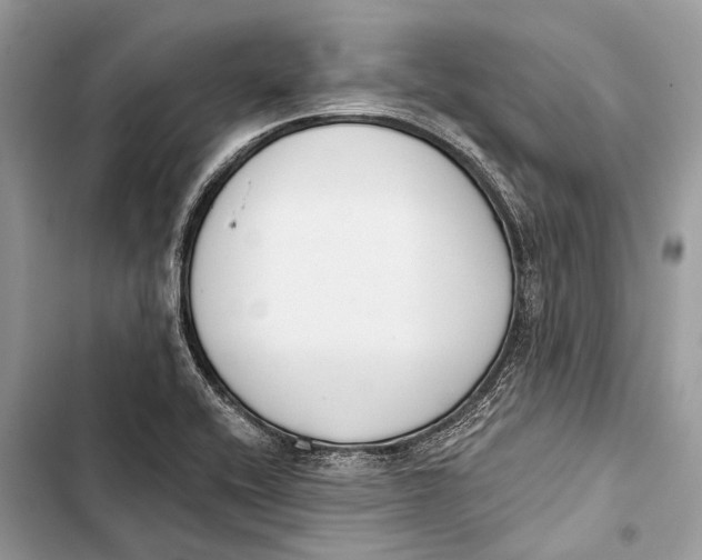 X0000103461416200810031448