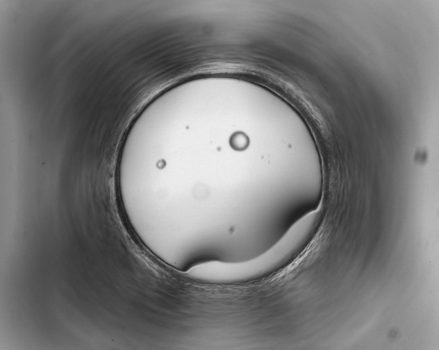 X0000103461417200810031448