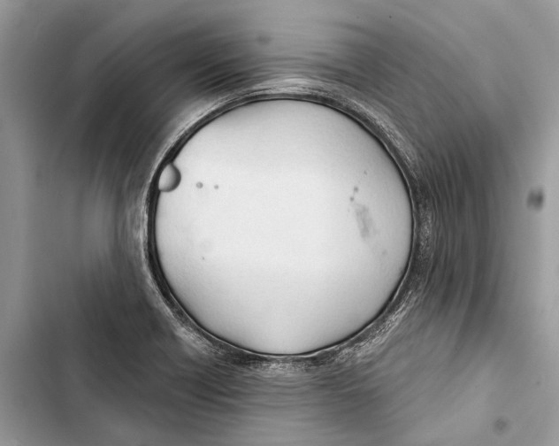 X0000103461418200810031448