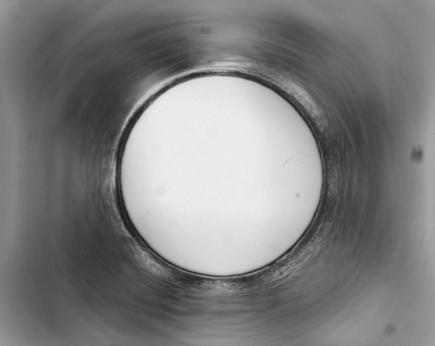 X0000103461420200810031448