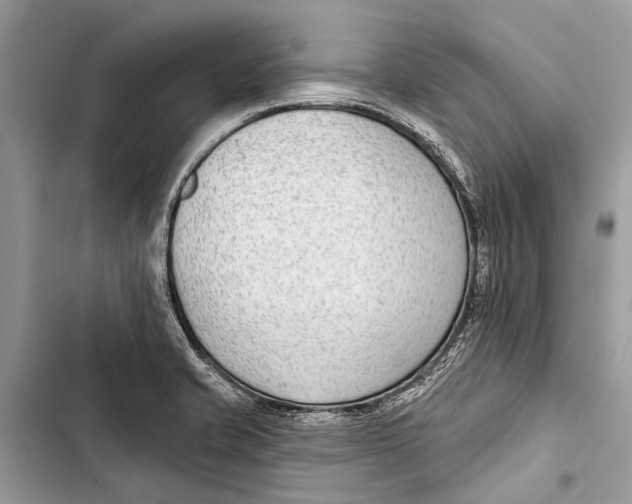 X0000103461421200810031448