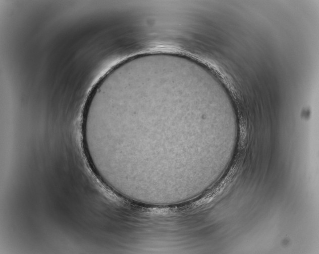 X0000103461422200810031448