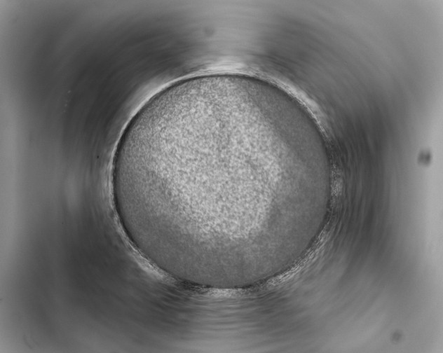 X0000103461423200810031448