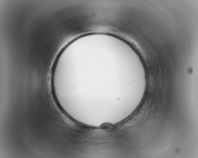 X0000103461424200810031448