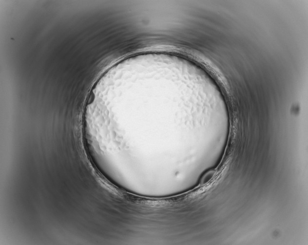 X0000103461425200810031448