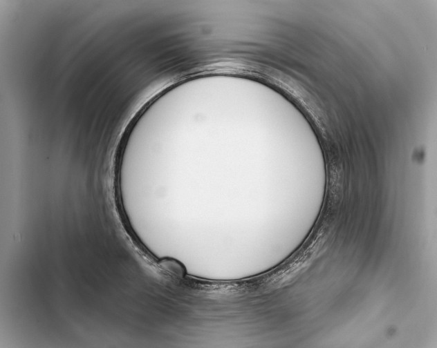 X0000103461426200810031448