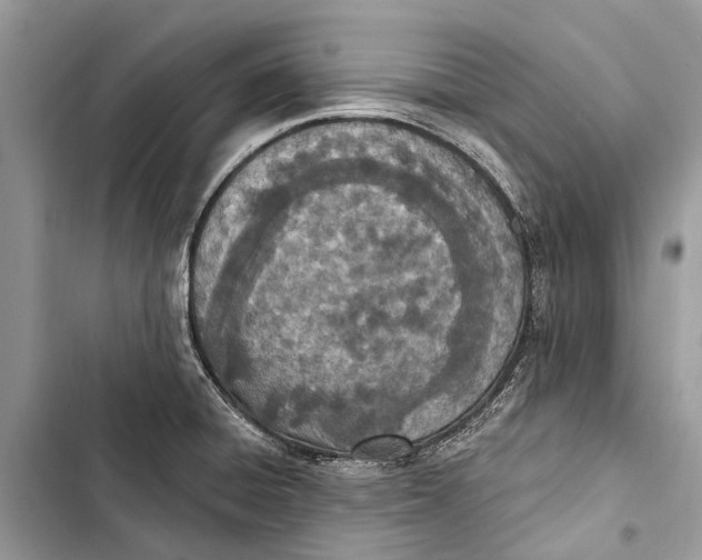 X0000103461428200810031448