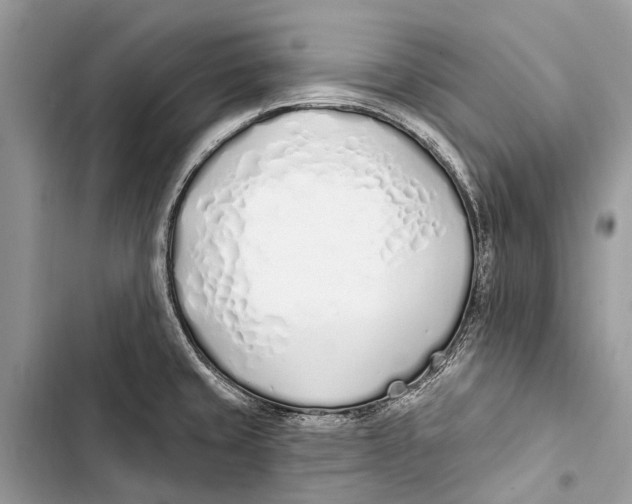 X0000103461429200810031448