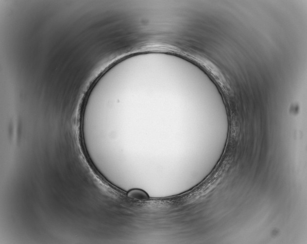 X0000103461430200810031448