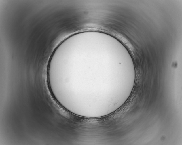 X0000103461431200810031448