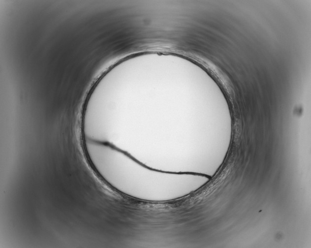 X0000103461432200810031448