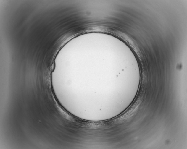 X0000103461433200810031448