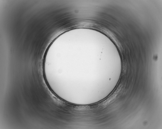 X0000103461434200810031448