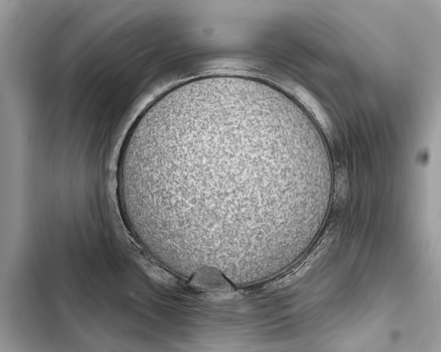 X0000103461435200810031448