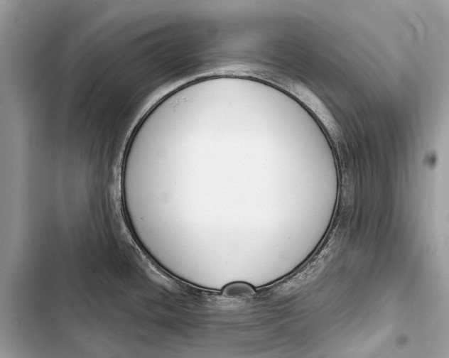 X0000103461436200810031448