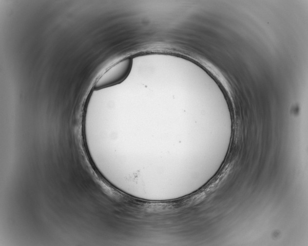 X0000103461437200810031448