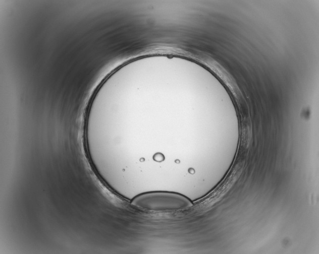 X0000103461438200810031448