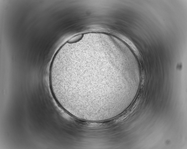 X0000103461439200810031448