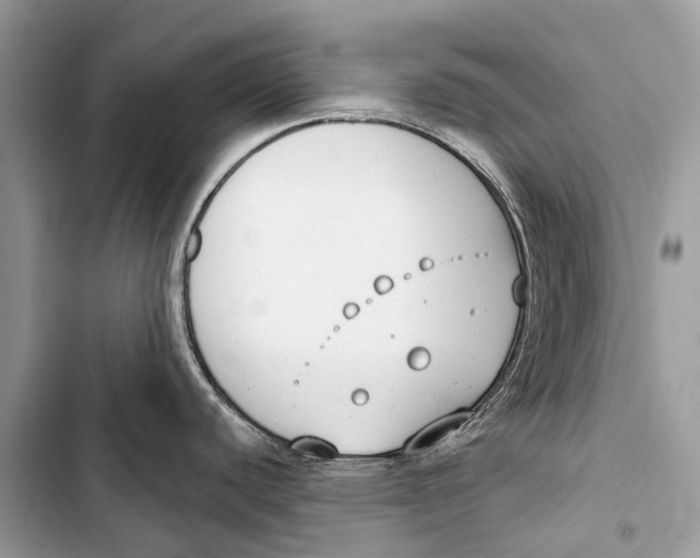 X0000103461440200810031448