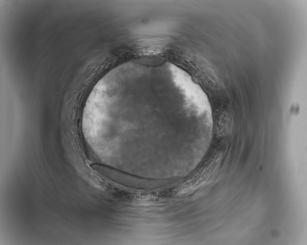 X0000103461441200810031447