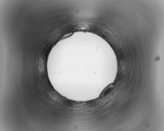 X0000103461442200810031447