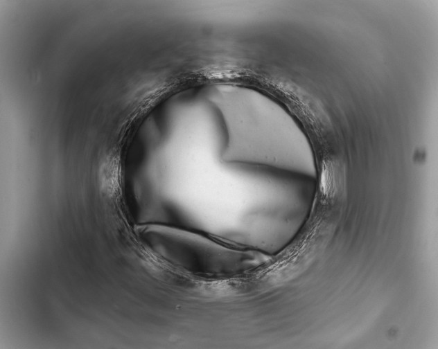 X0000103461444200810031447