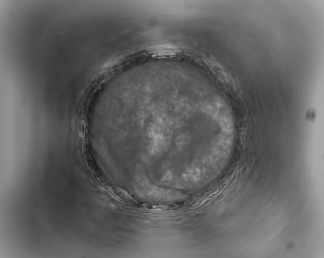 X0000103461445200810031447