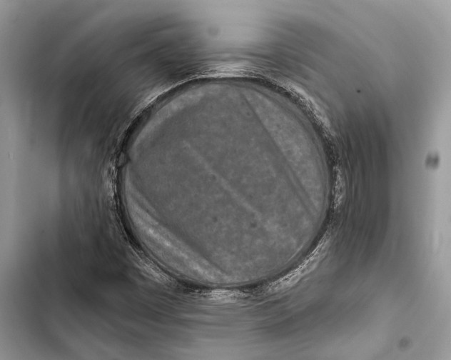 X0000103461449200810031447