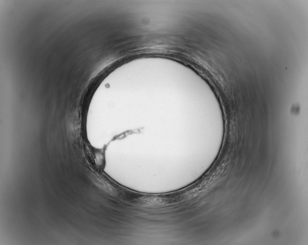 X0000103461450200810031447