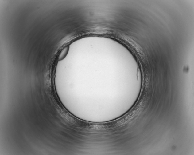 X0000103461451200810031447